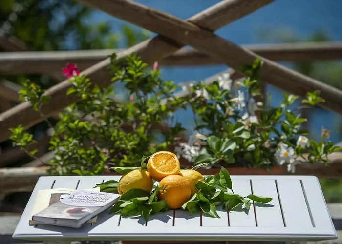 Euriclea Tatil Evi *